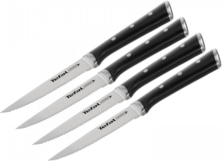 Tefal Ice Force Steakmessen 11 Cm Set Van 4